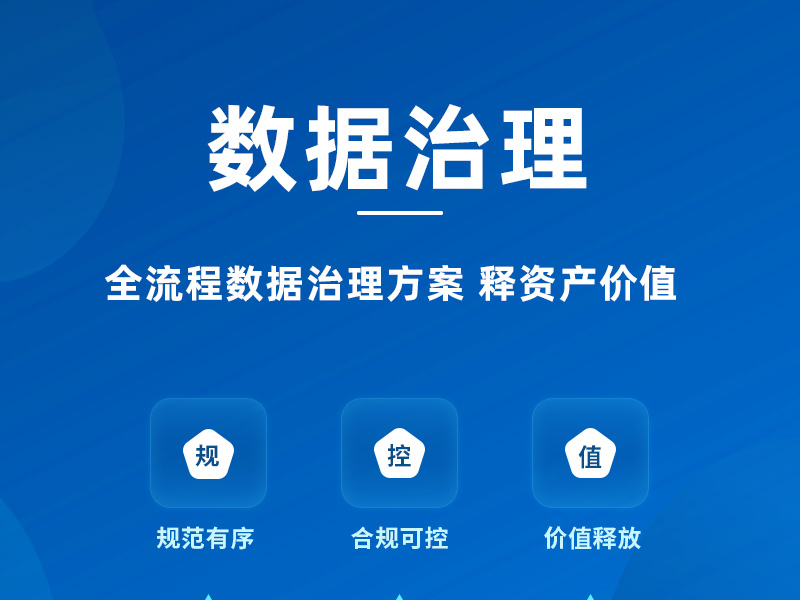 数据治理